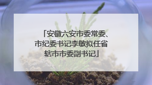安徽六安市委常委、市纪委书记李敏拟任省辖市市委副书记