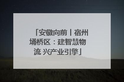 安徽向前丨宿州埇桥区：建智慧物流 兴产业引擎