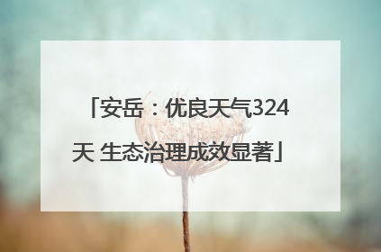 安岳：优良天气324天 生态治理成效显著