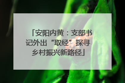 安阳内黄：支部书记外出“取经”探寻乡村振兴新路径