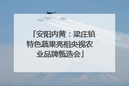 安阳内黄：梁庄镇特色蔬果亮相央视农业品牌甄选会