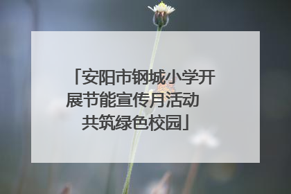 安阳市钢城小学开展节能宣传月活动 共筑绿色校园