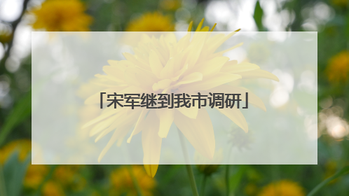 宋军继到我市调研