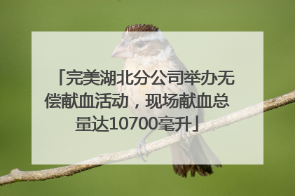 完美湖北分公司举办无偿献血活动，现场献血总量达10700毫升