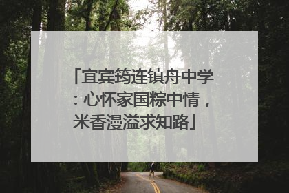 宜宾筠连镇舟中学：心怀家国粽中情，米香漫溢求知路