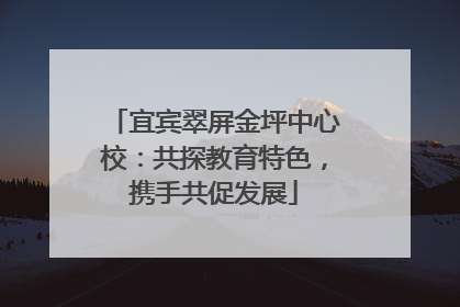 宜宾翠屏金坪中心校：共探教育特色，携手共促发展