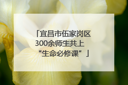 宜昌市伍家岗区300余师生共上“生命必修课”