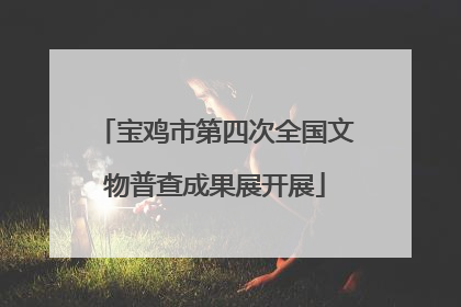 宝鸡市第四次全国文物普查成果展开展