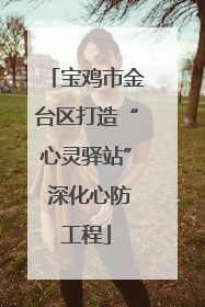 宝鸡市金台区打造“心灵驿站” 深化心防工程