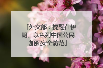 外交部：提醒在伊朗、以色列中国公民加强安全防范