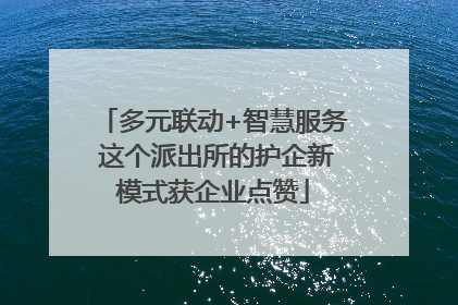 多元联动+智慧服务 这个派出所的护企新模式获企业点赞