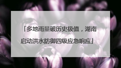 多地雨量破历史极值，湖南启动洪水防御四级应急响应
