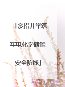 多措并举筑牢电化学储能安全防线