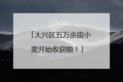 大兴区五万余亩小麦开始收获啦！