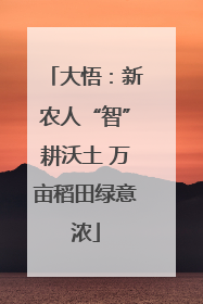 大悟：新农人“智”耕沃土 万亩稻田绿意浓