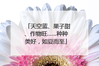 天空蓝、果子甜、作物旺……种种美好，如夏而至