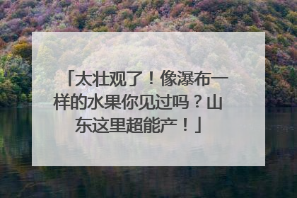 太壮观了！像瀑布一样的水果你见过吗？山东这里超能产！