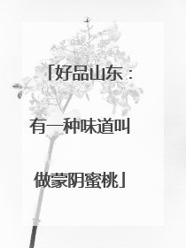 好品山东：有一种味道叫做蒙阴蜜桃