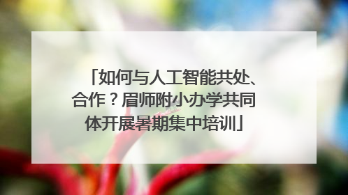 如何与人工智能共处、合作？眉师附小办学共同体开展暑期集中培训