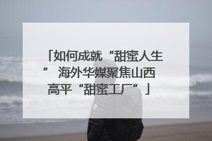 如何成就“甜蜜人生” 海外华媒聚焦山西高平“甜蜜工厂”