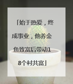 始于热爱，终成事业，他养金鱼致富后带动18个村共富