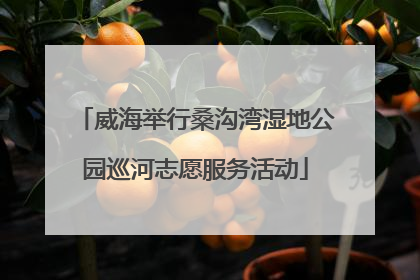 威海举行桑沟湾湿地公园巡河志愿服务活动