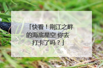 快看！荆江之畔的海底星空 你去打卡了吗？