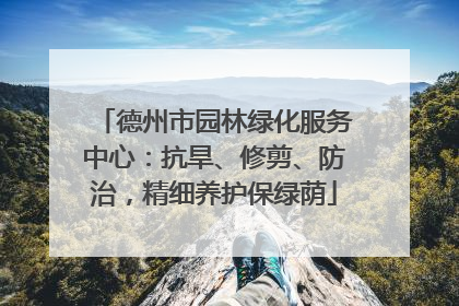 德州市园林绿化服务中心：抗旱、修剪、防治，精细养护保绿荫