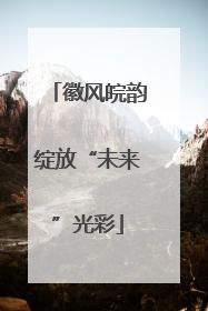 徽风皖韵绽放“未来”光彩