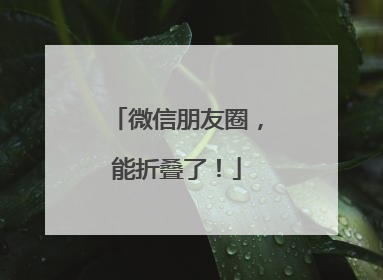微信朋友圈，能折叠了！