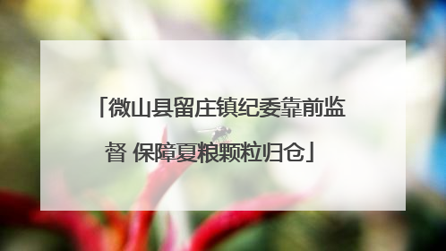 微山县留庄镇纪委靠前监督 保障夏粮颗粒归仓