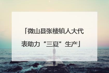 微山县张楼镇人大代表助力“三夏”生产