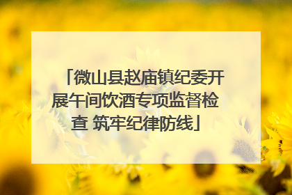 微山县赵庙镇纪委开展午间饮酒专项监督检查 筑牢纪律防线