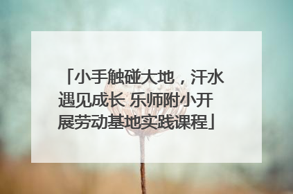 小手触碰大地，汗水遇见成长 乐师附小开展劳动基地实践课程