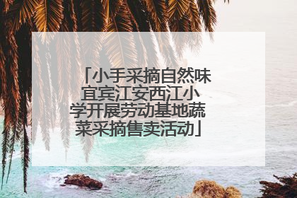 小手采摘自然味 宜宾江安西江小学开展劳动基地蔬菜采摘售卖活动