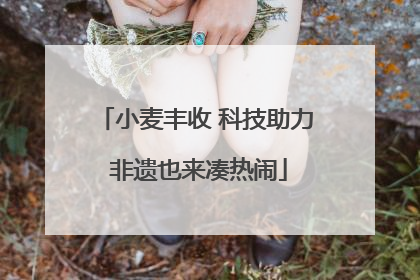 小麦丰收 科技助力 非遗也来凑热闹