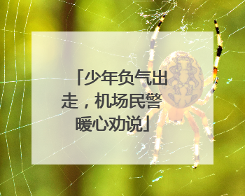 少年负气出走，机场民警暖心劝说
