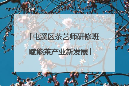 屯溪区茶艺师研修班赋能茶产业新发展