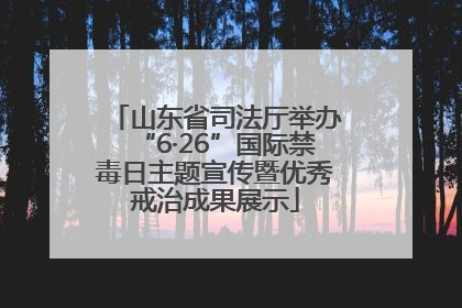 山东省司法厅举办“6·26”国际禁毒日主题宣传暨优秀戒治成果展示