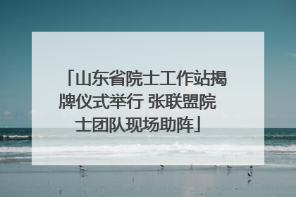 山东省院士工作站揭牌仪式举行 张联盟院士团队现场助阵