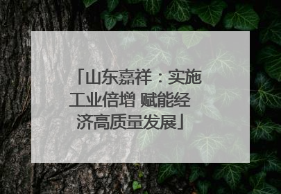 山东嘉祥：实施工业倍增 赋能经济高质量发展