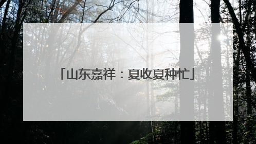 山东嘉祥：夏收夏种忙