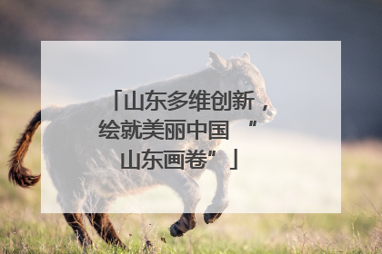 山东多维创新，绘就美丽中国 “山东画卷”