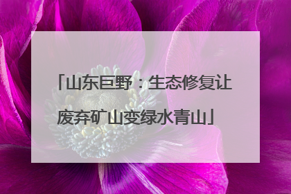 山东巨野：生态修复让废弃矿山变绿水青山