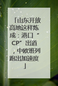 山东开放高地这样炼成：港口“CP”出道，中欧班列跑出加速度