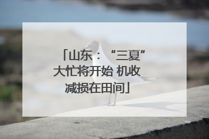 山东：“三夏”大忙将开始 机收减损在田间