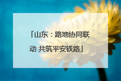 山东：路地协同联动 共筑平安铁路