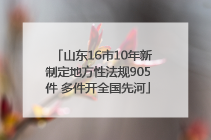 山东16市10年新制定地方性法规905件 多件开全国先河