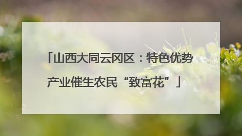 山西大同云冈区：特色优势产业催生农民“致富花”