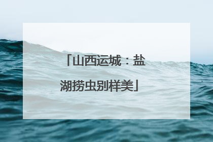 山西运城：盐湖捞虫别样美